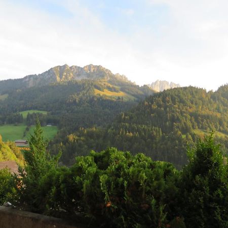 Chalet Erica Apartment Jaun ภายนอก รูปภาพ