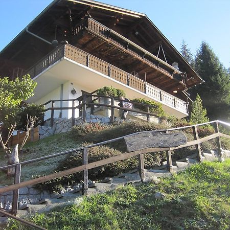 Chalet Erica Apartment Jaun ภายนอก รูปภาพ