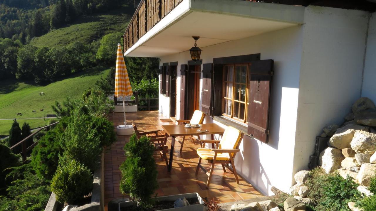 Chalet Erica Apartment Jaun ภายนอก รูปภาพ