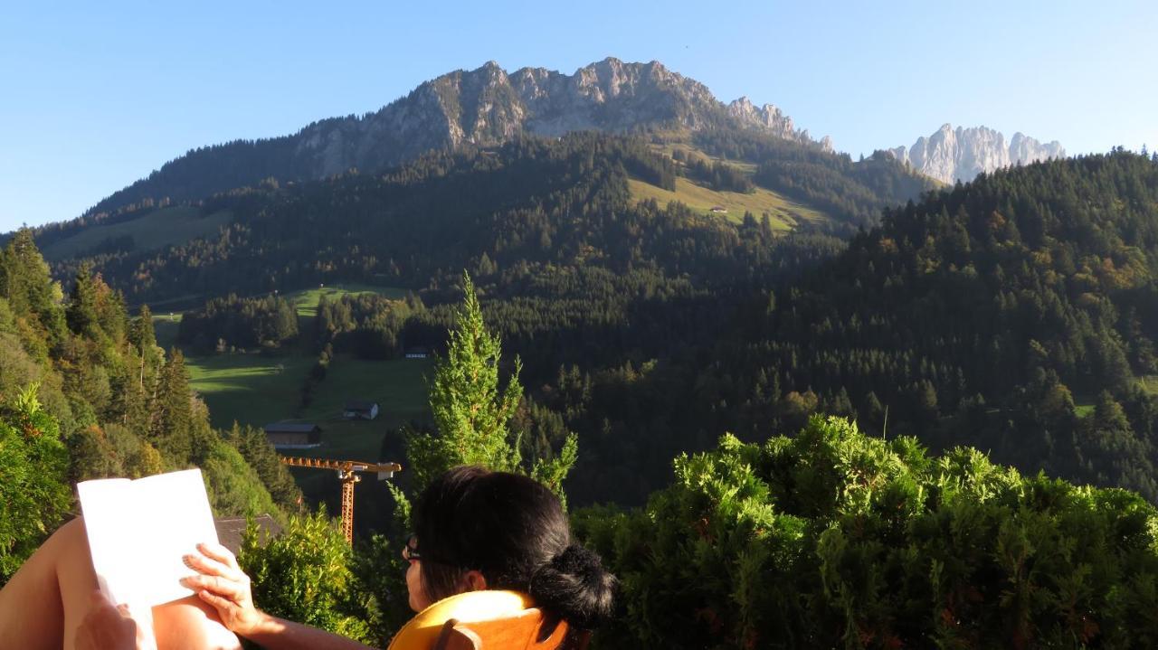 Chalet Erica Apartment Jaun ภายนอก รูปภาพ