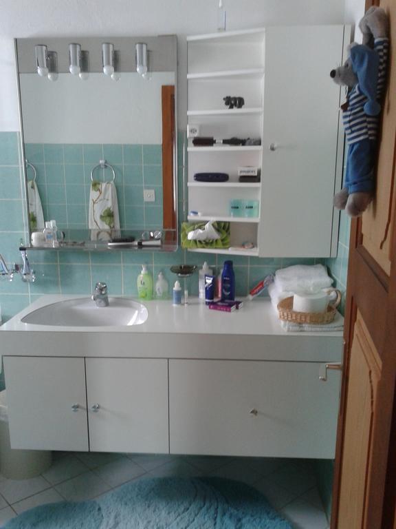 Chalet Erica Apartment Jaun ภายนอก รูปภาพ