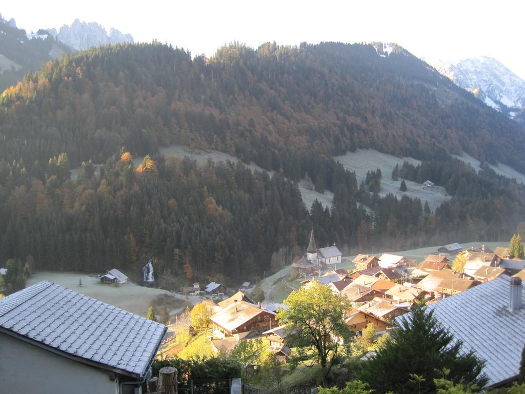 Chalet Erica Apartment Jaun ห้อง รูปภาพ