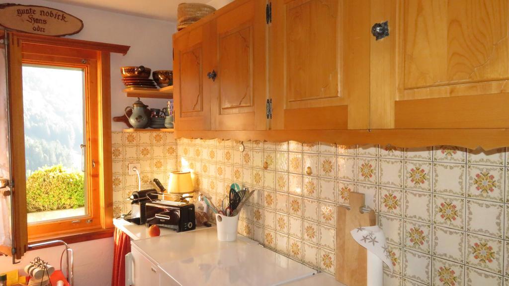 Chalet Erica Apartment Jaun ภายนอก รูปภาพ