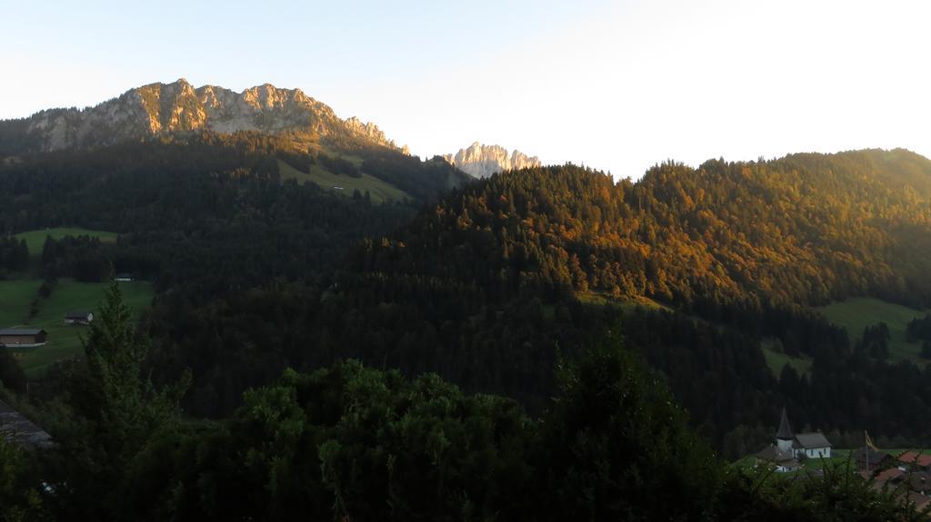 Chalet Erica Apartment Jaun ภายนอก รูปภาพ