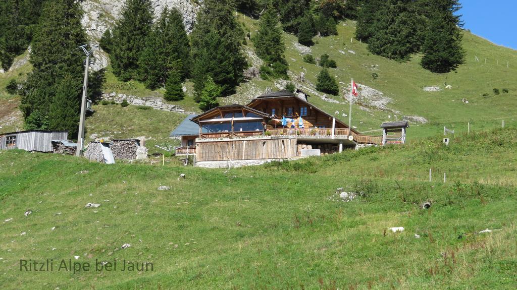 Chalet Erica Apartment Jaun ภายนอก รูปภาพ