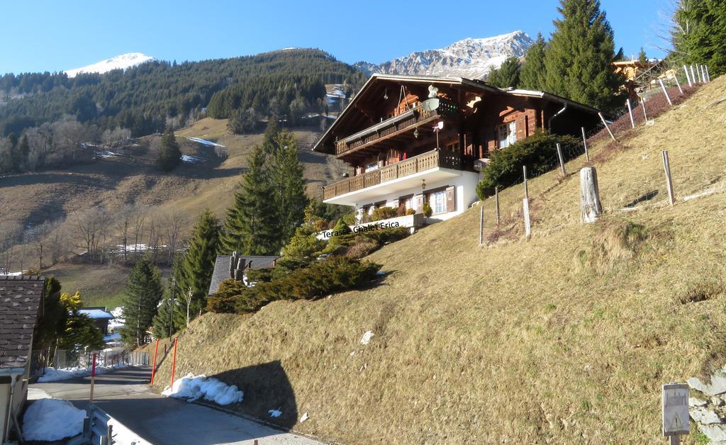 Chalet Erica Apartment Jaun ภายนอก รูปภาพ