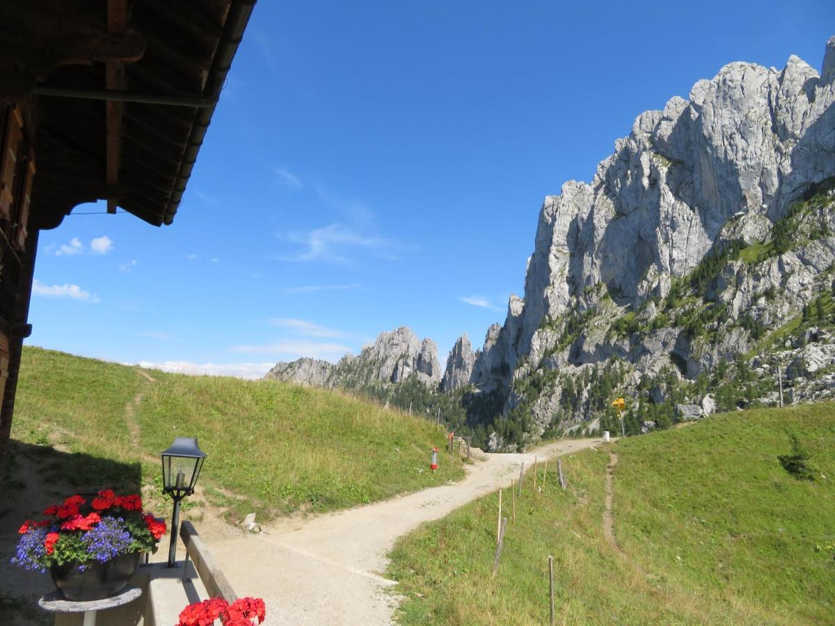 Chalet Erica Apartment Jaun ภายนอก รูปภาพ